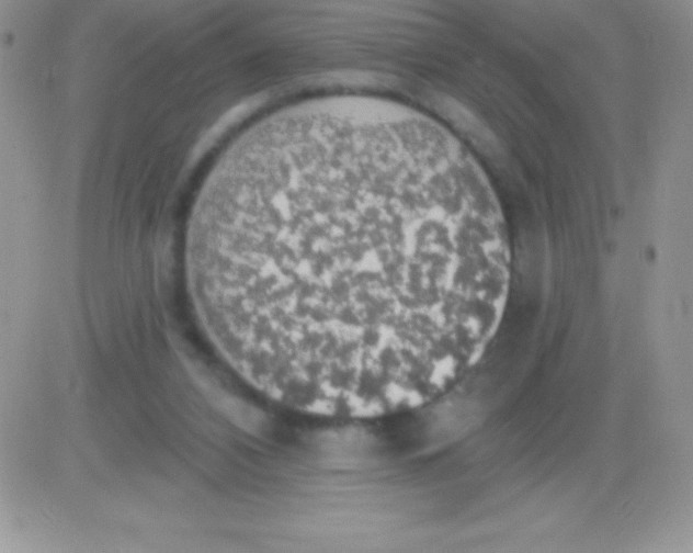 X0000081380112200701252049