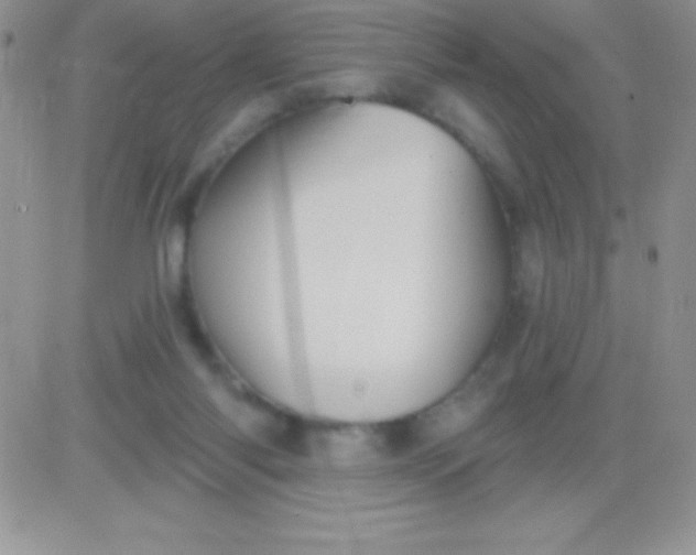 X0000081380118200701252049