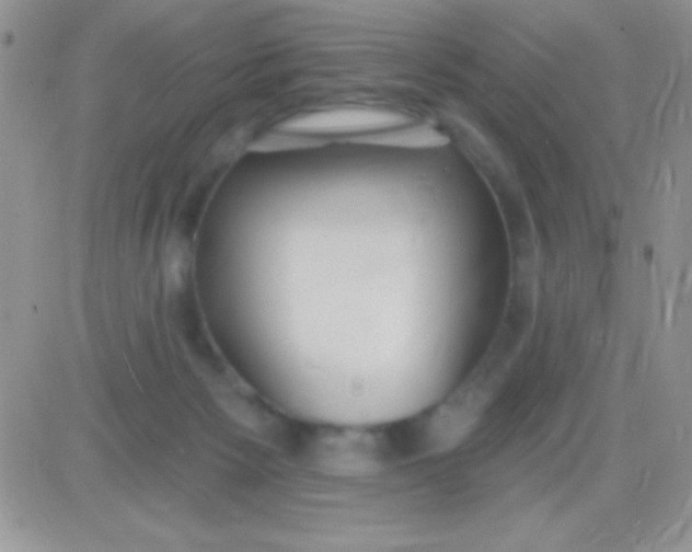 X0000081380125200701252049