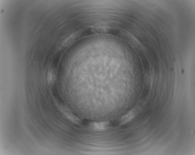 X0000081380134200701252048