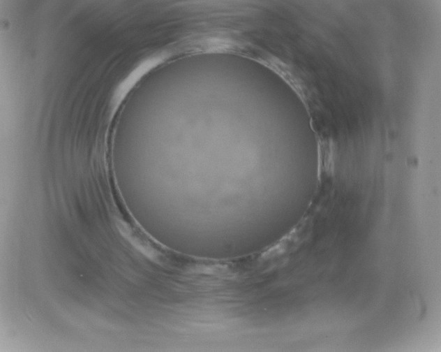 X0000081380147200701252048