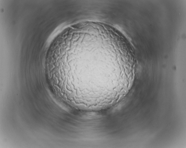 X0000081380151200701252048