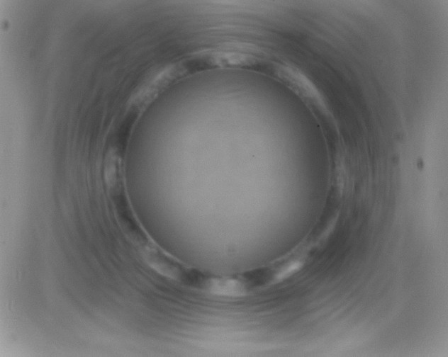 X0000081380169200701252048