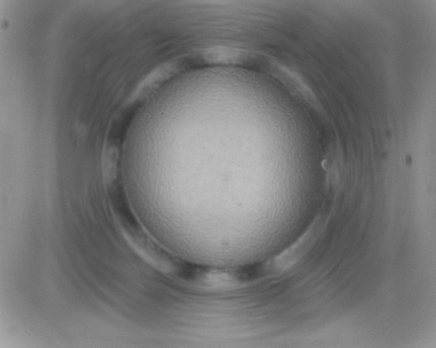 X0000081380171200701252048