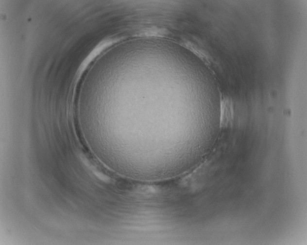 X0000081380195200701252048