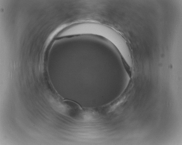 X0000081380200200701252047