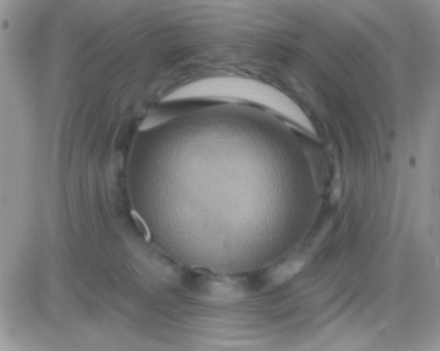 X0000081380229200701252047