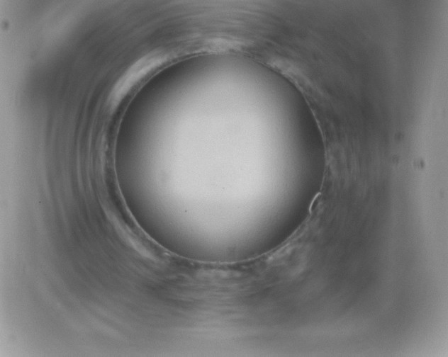 X0000081380242200701252046