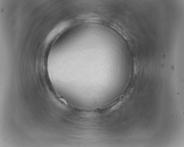 X0000081380245200701252046