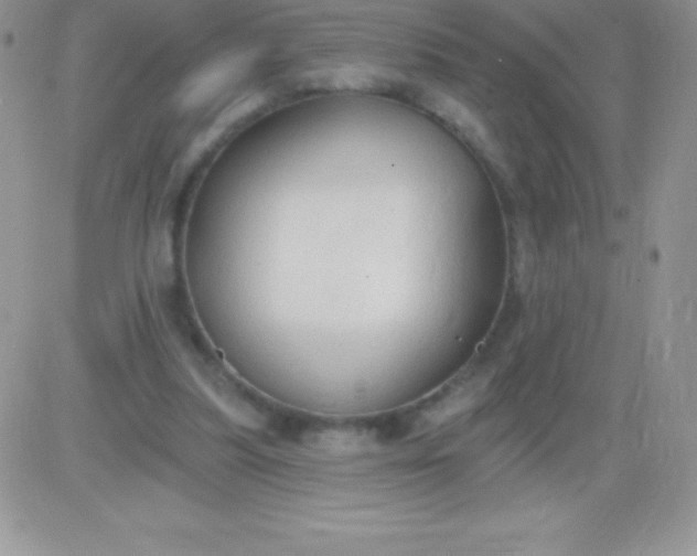 X0000081380251200701252046