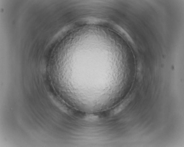 X0000081380257200701252046