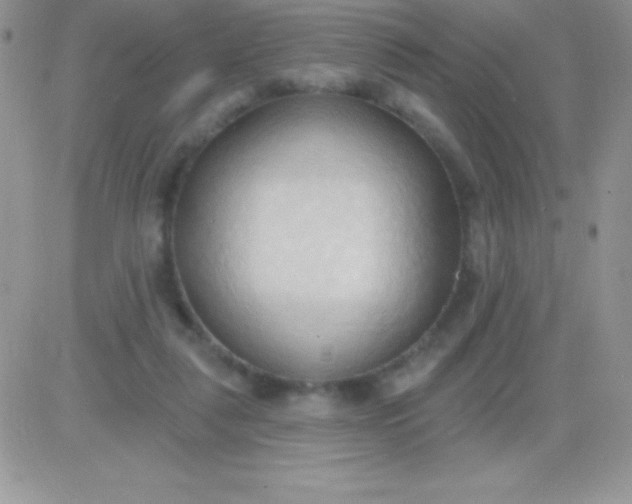 X0000081380259200701252046
