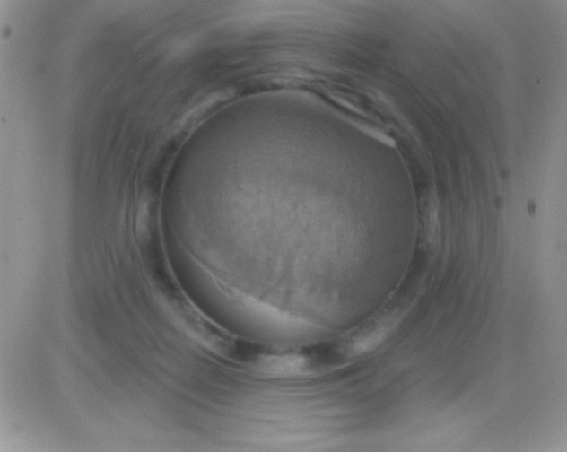 X0000081380266200701252046
