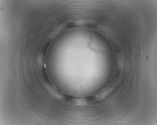 X0000081380275200701252047