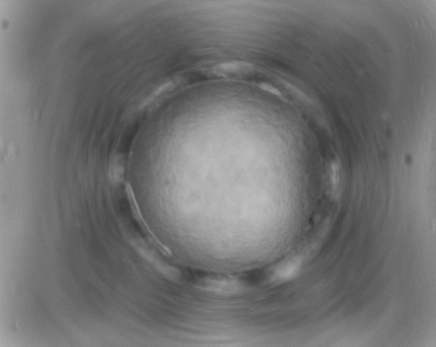 X0000081380284200701252047
