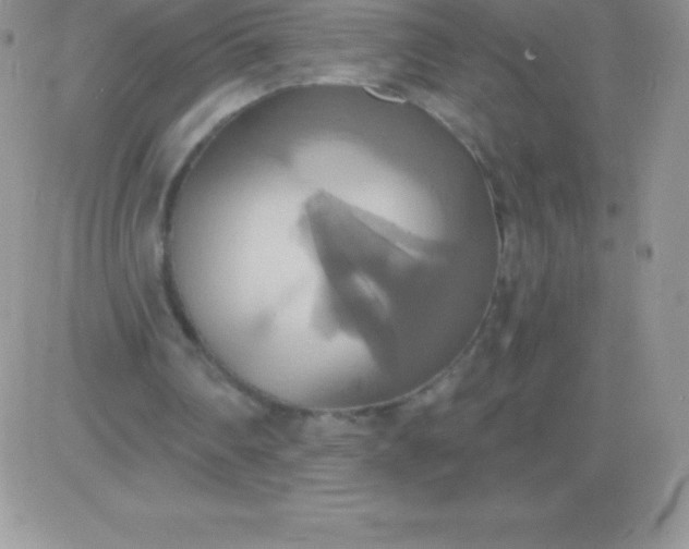 X0000081380290200701252046
