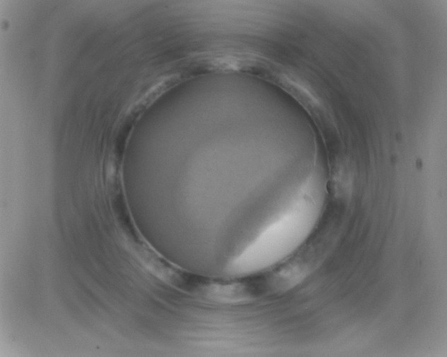 X0000081380314200701252046
