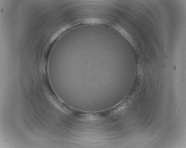 X0000081380347200701252045