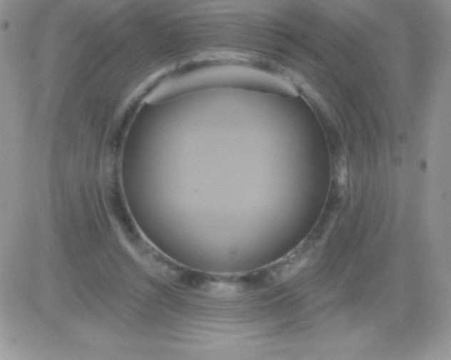X0000081380352200701252045