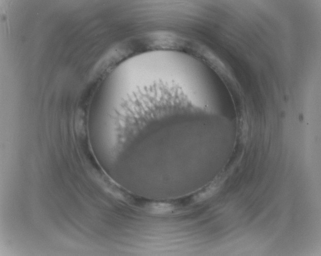 X0000081380361200701252045