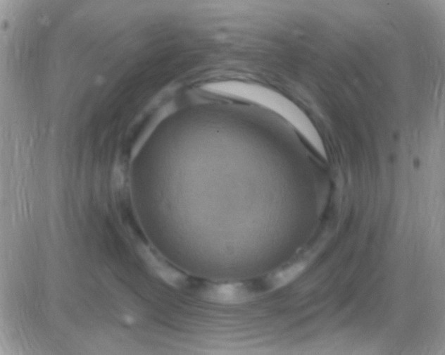 X0000081380382200701252045