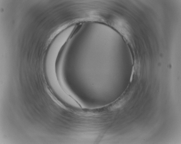 X0000081380389200701252044