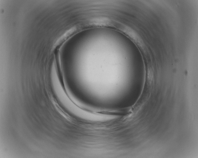 X0000081380397200701252044