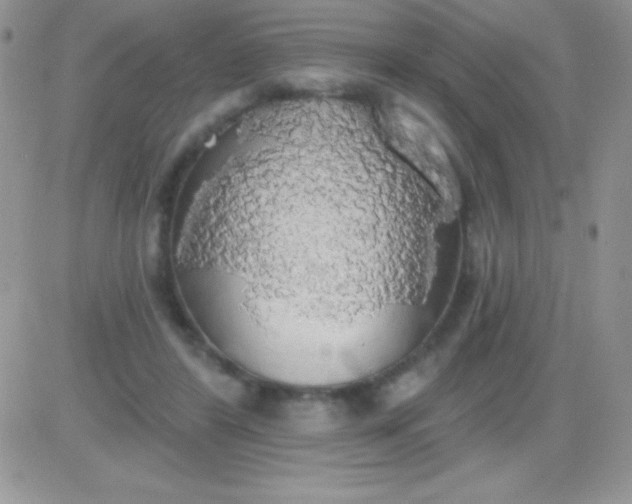 X0000081380404200701252044