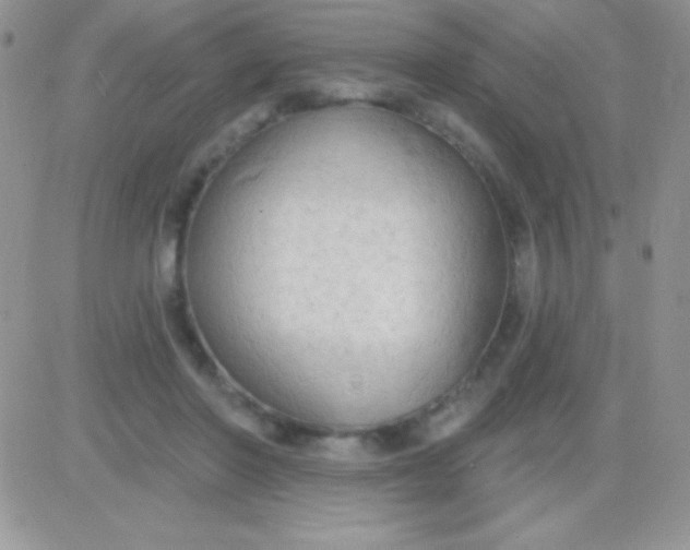 X0000081380406200701252044
