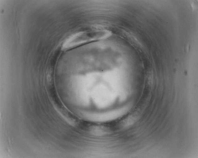 X0000081380408200701252044