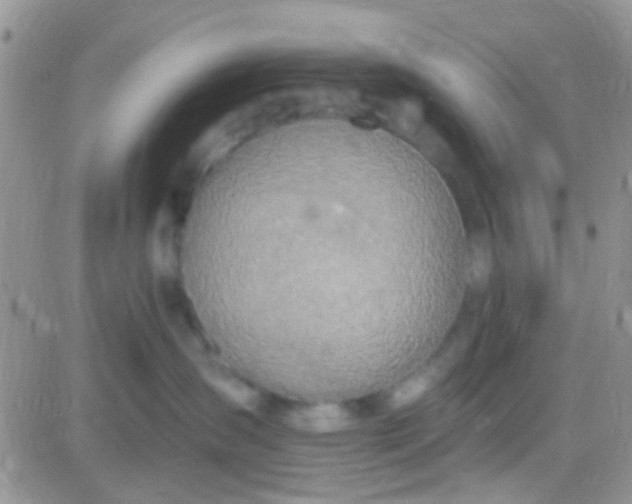 X0000081380431200701252044
