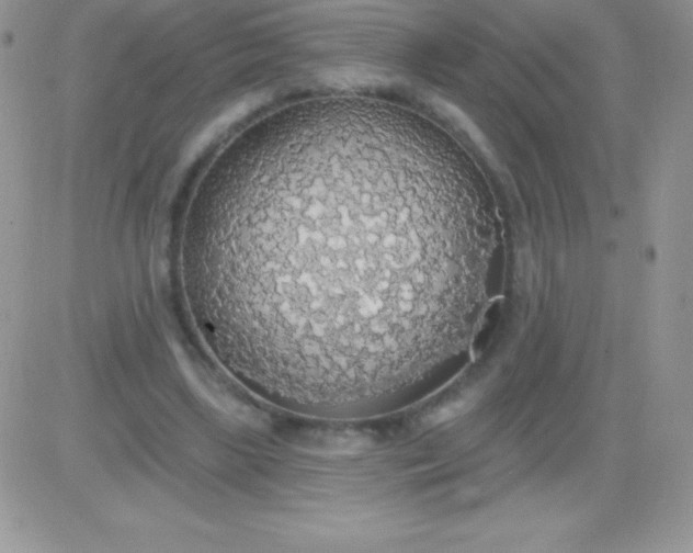 X0000081380443200701252043