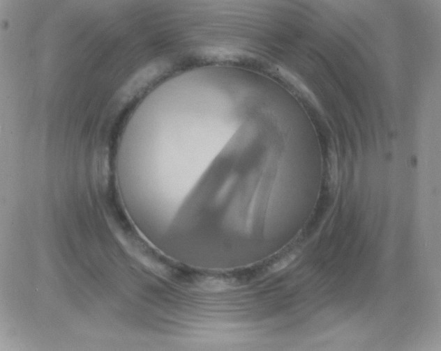 X0000081380494200701252043