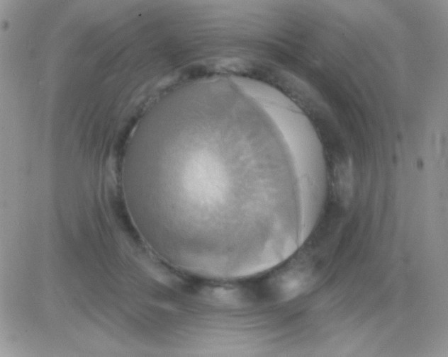 X0000081380506200701252042