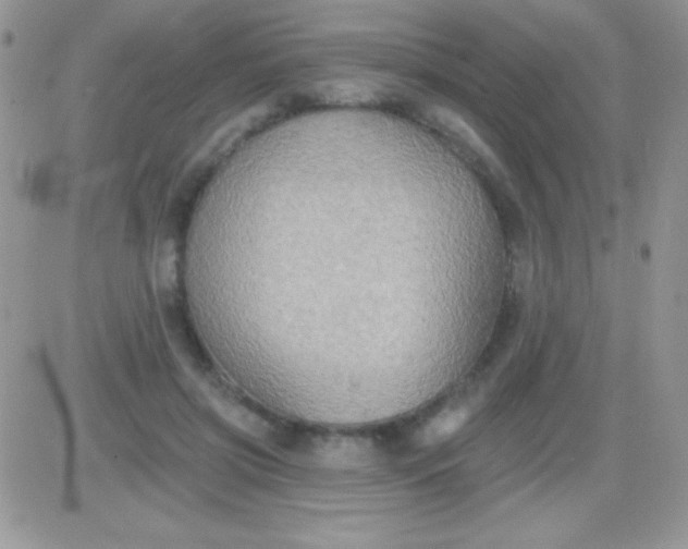 X0000081380549200701252042