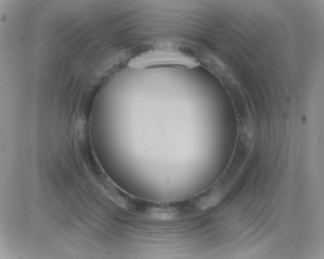 X0000081380556200701252042