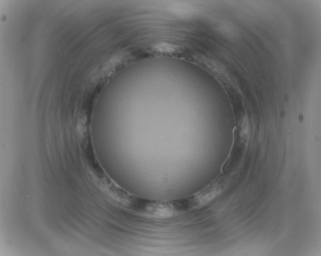 X0000081380559200701252042