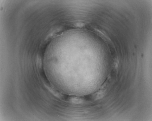 X0000081380568200701252042
