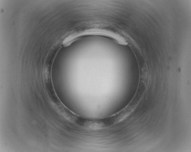 X0000081380597200701252041