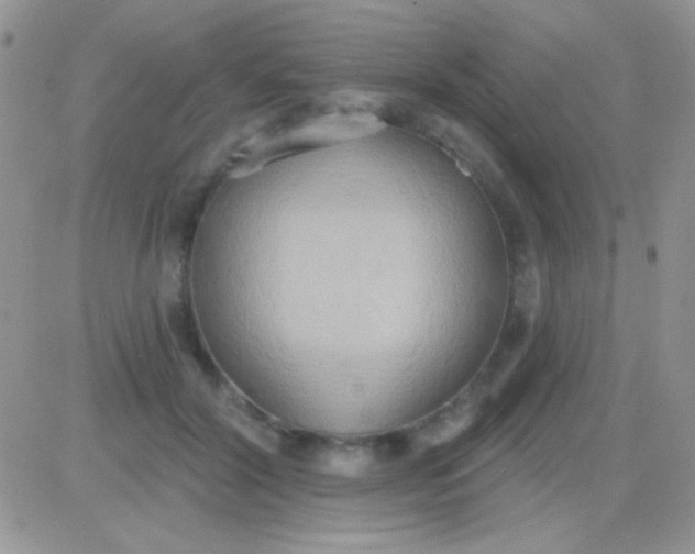 X0000081380604200701252041