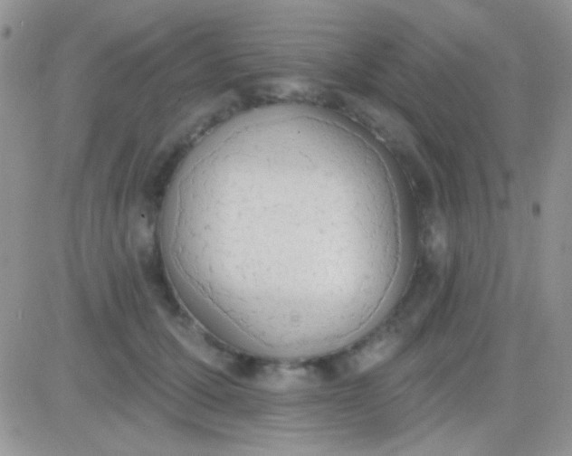 X0000081380607200701252041