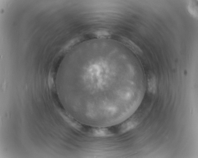 X0000081380618200701252041