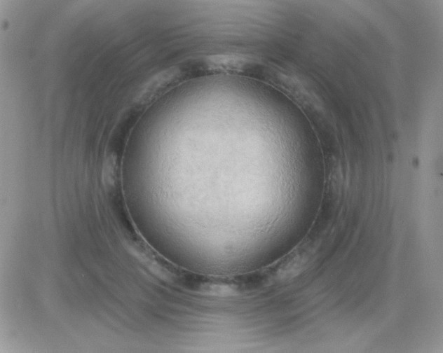 X0000081380649200701252040