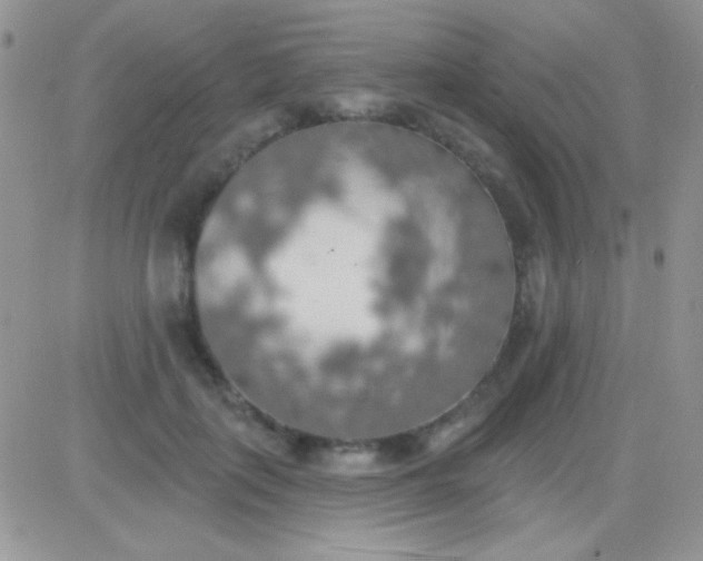 X0000081380651200701252040