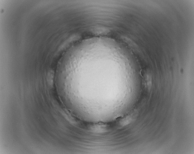 X0000081380664200701252040