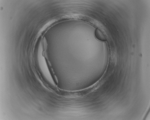 X0000081380674200701252040