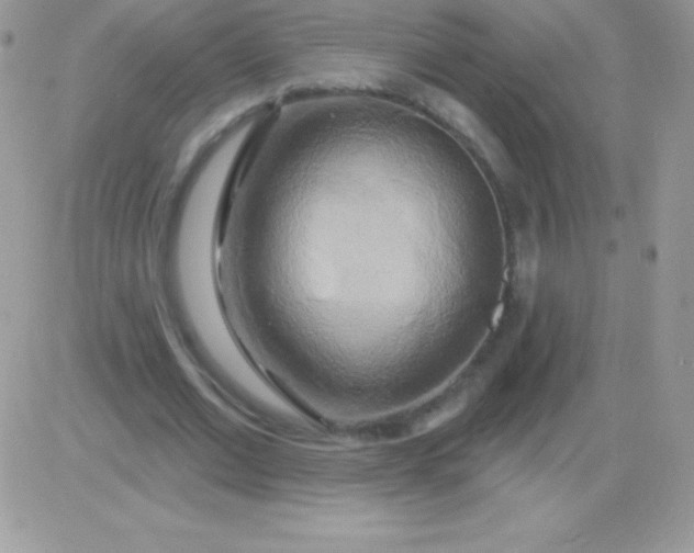 X0000081380677200701252040