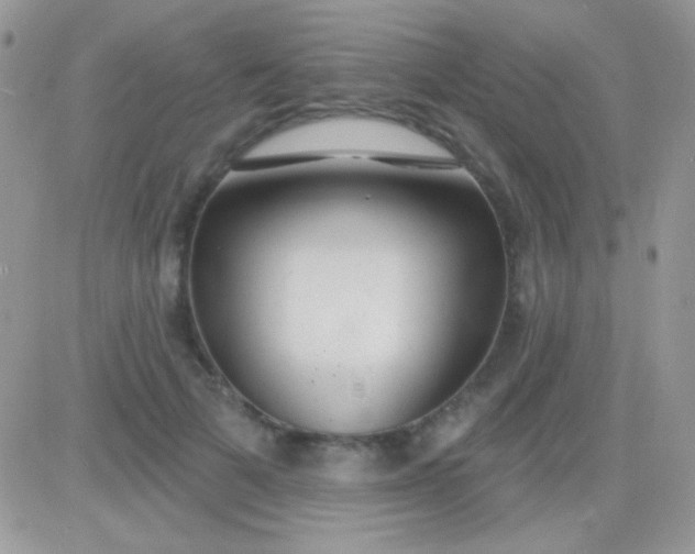 X0000081380697200701252039