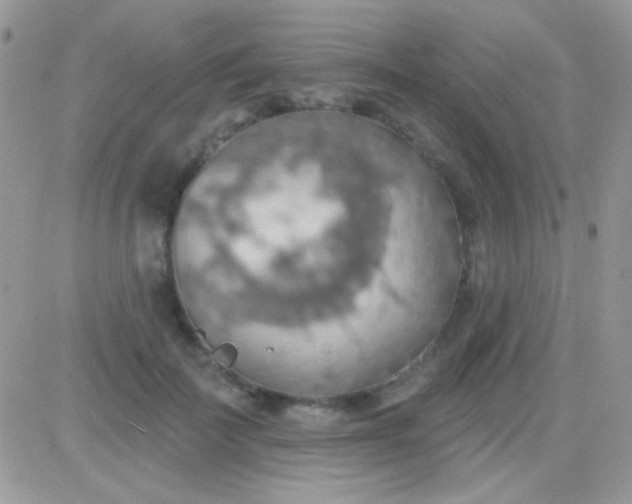 X0000081380699200701252039