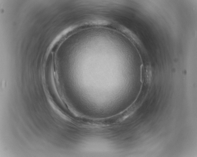 X0000081380726200701252038